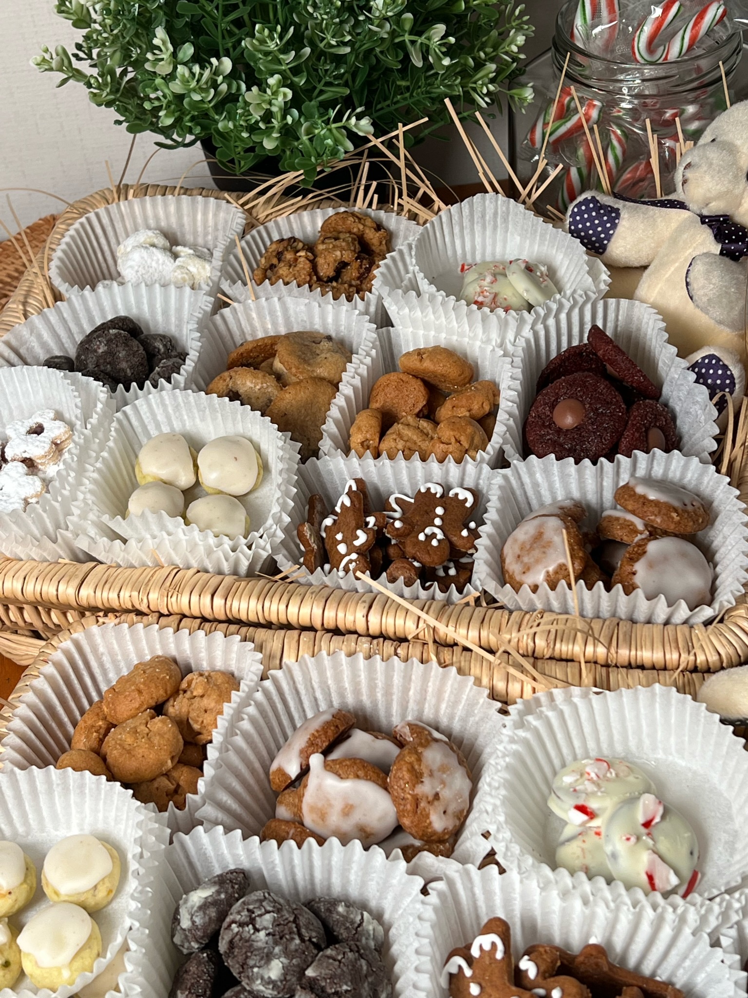 Arranged Food and Objects