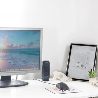 A computer desk and office area. The space is well lit and bright. On the desk is a plant, computer and speakers.