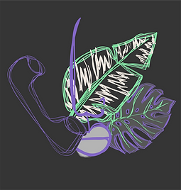 contact image.png