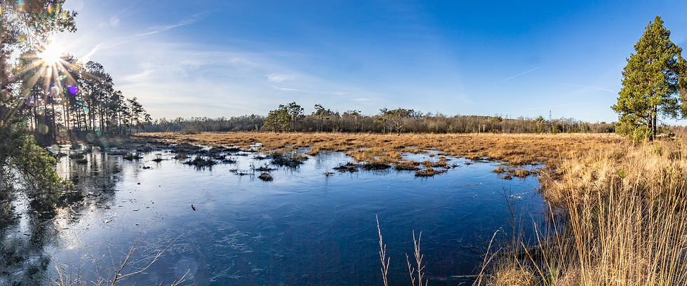 20240116-IMG_1109-2-PANO-BOG.jpg