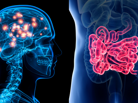 L-Glutammina, l'amminoacido fondamentale per la salute gastrointestinale, mentale, energetica e riequilibrio di Asse intestino-cervello