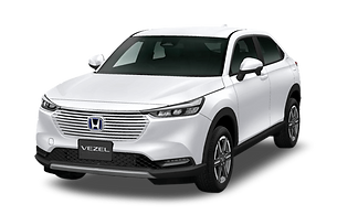 Platinum-White-Pearl (1).png