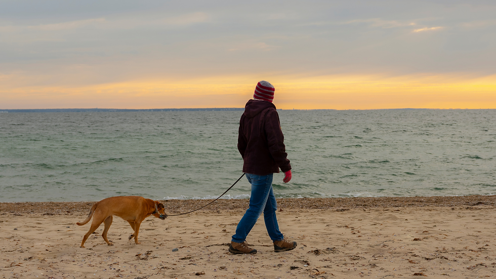 Man walking don in a beach during sunset