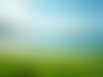 Island Scape Lawn Care for Coastal Beauty