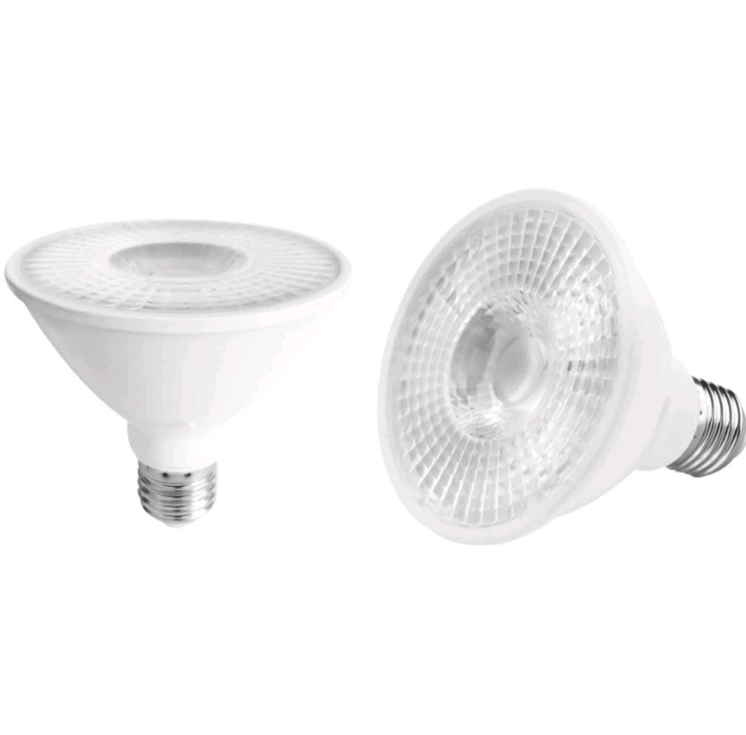 Lampada Led Branco Frio Par30 / 11w Bivolt Branco Frio
