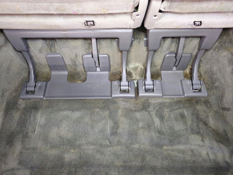 Mold removal service