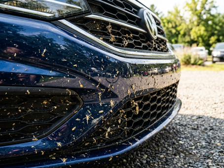 Protect Your Paint From Bug Etching This Summer