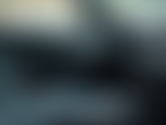 Revitalize Your Ride with Shinerz Auto Detailing and 22 Years of Expertise