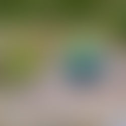 Rock Climbing Instructor Assessment, are you ready?