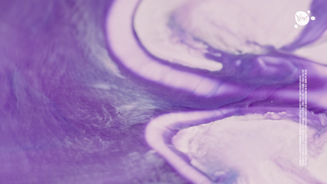 Ype_Terracollage_RomanDeGiuli_8K_HDR_colors-paint-stockfootage-abstract_visuals_colorful_f