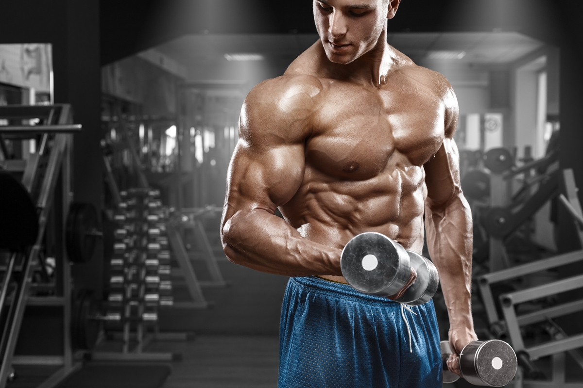 Musculação Baseada em Evidências