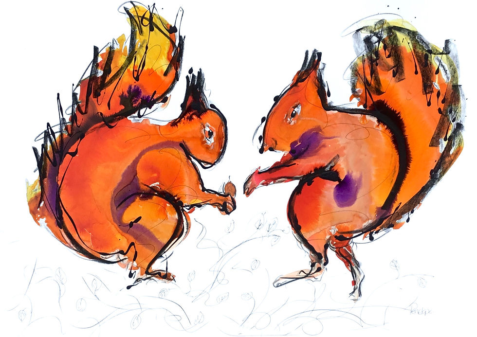 Two Red Squirrels