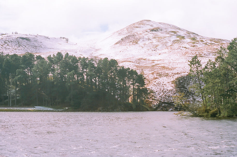 Examining the ways in which Scottish writers challenge the idea of national identity