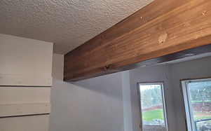 20231120_124745.jpg