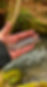 IMG_0590 2.jpeg