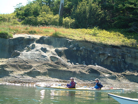 Sucia Island concretions
