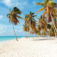 1442ed_e60f67cf05894f6d82c6cb8746035b5f~mv2