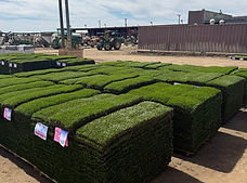Sod Warehouse