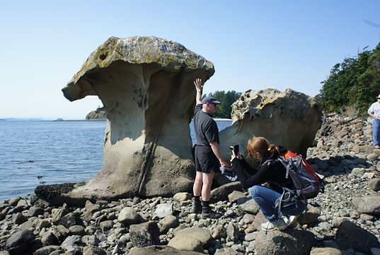Sucia Island weathered outcrop