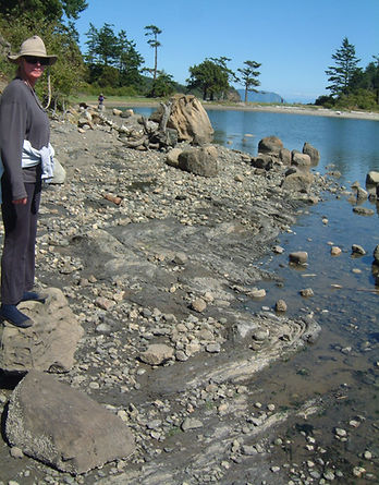 Sucia Island shear folds