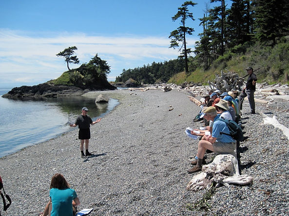 Lopez Island beach