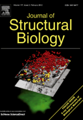 xrayportada