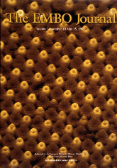 covers0000