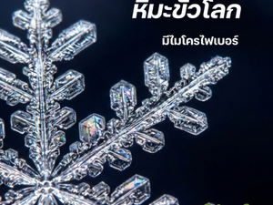 ❄️ หิมะขั้วโลก... ไม่ได้สะอาดอย่างที่คิด! 🌍🌬️