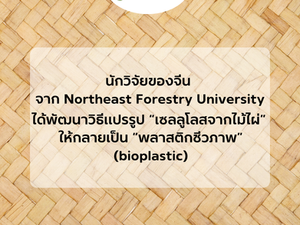 🌿 พลาสติกย่อยสลายได้…เหมือนกันหมดไหม?