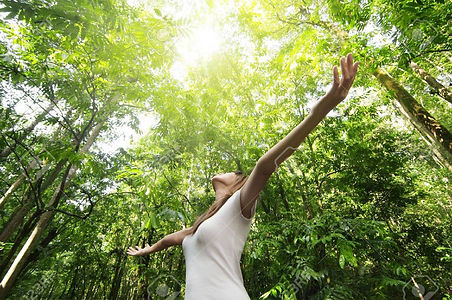 Forest Bathing - Shinrin Yoku
