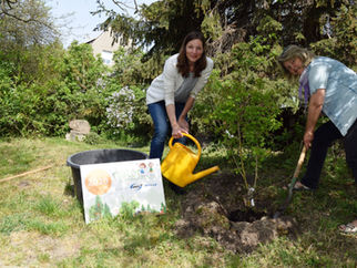 Anmeldestart erfolgt - Bäume und Sträucher gepflanzt