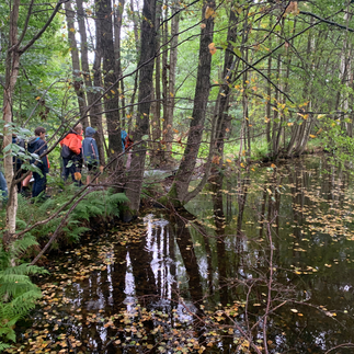 NSZ Erzgebirge: Projekttag am Bach und Teich im Rahmen Natur zum Anfassen 2023