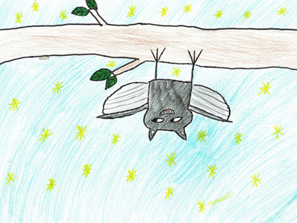 Preisträgerin in Sachsen-Anhalt ausgezeichnet