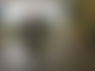 10. Jubiläum von „Natur zum Anfassen“ – Ausstellung tourt durch die Region