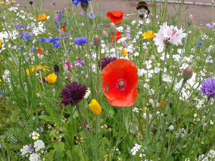 11. Auflage: Anmeldeschluss, Restplätze noch verfügbar