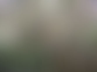 Wir suchen Thema für 2021 - LehrerInnen dürfen abstimmen