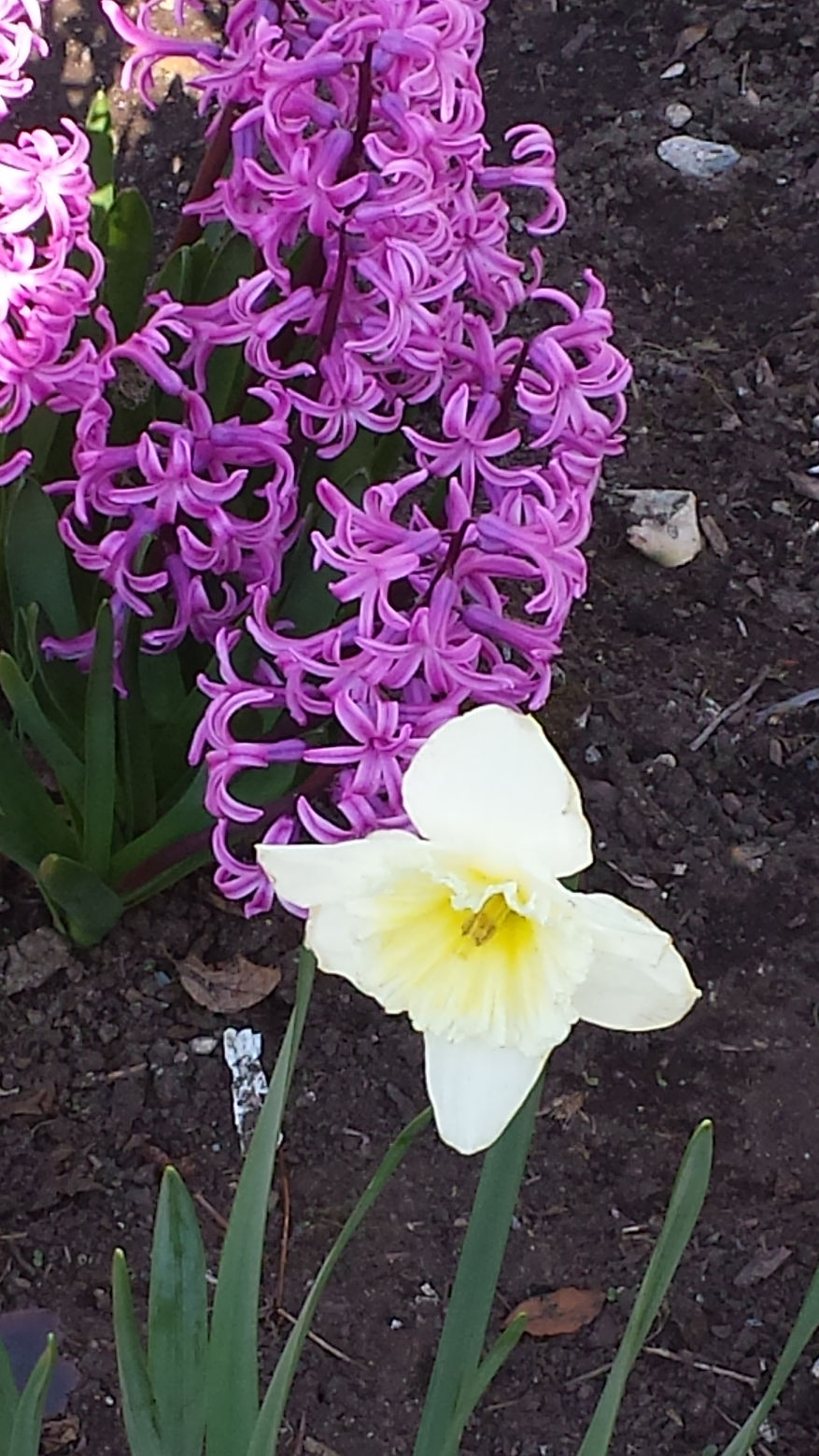 2014-04-20 16.31.40.jpg