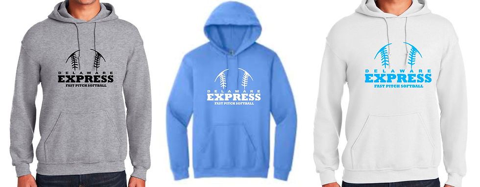 Thumbnail: Express Ball logo