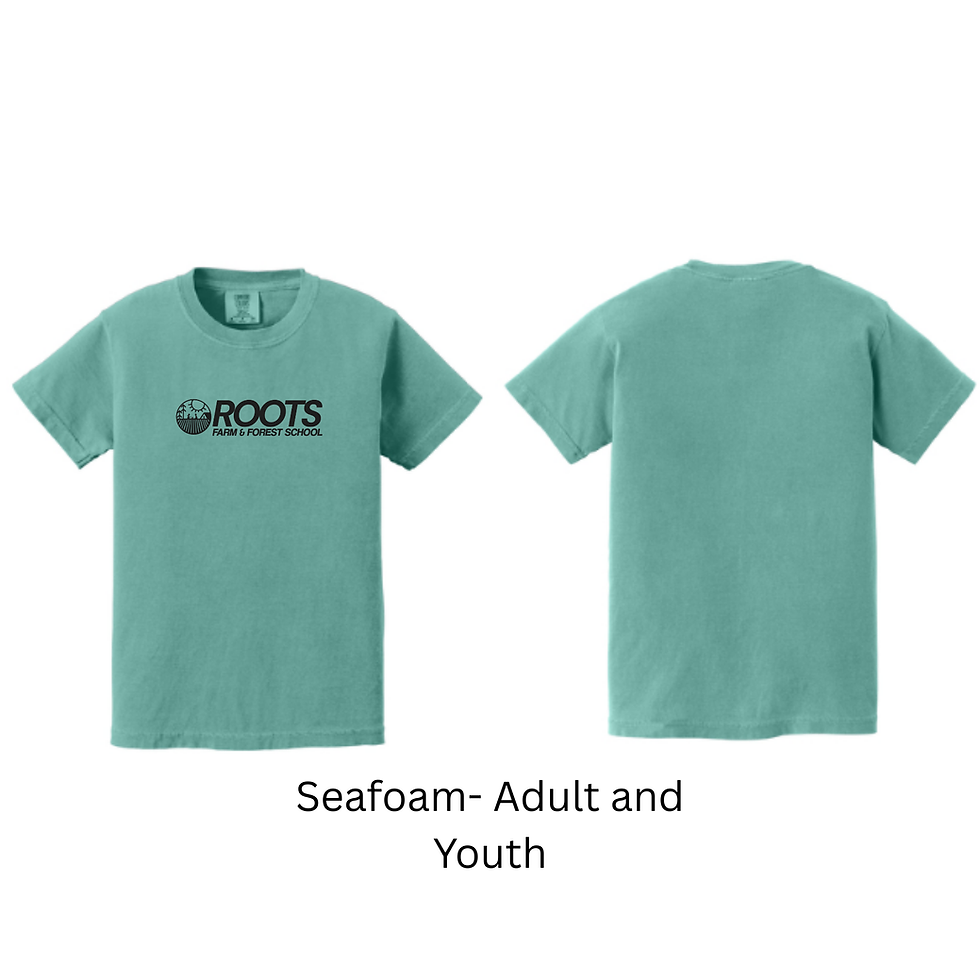 Thumbnail: Adult Seafoam T-Shirt