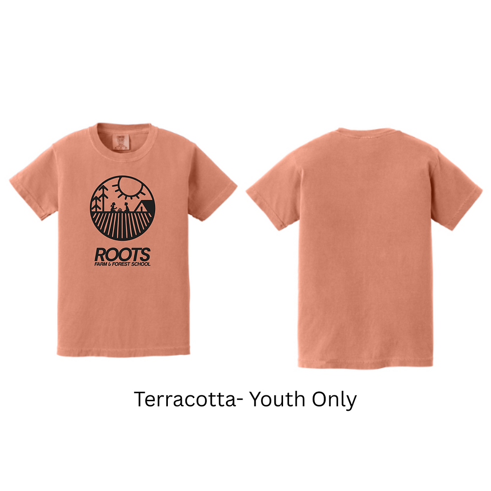 Thumbnail: Youth Terracotta T-Shirt