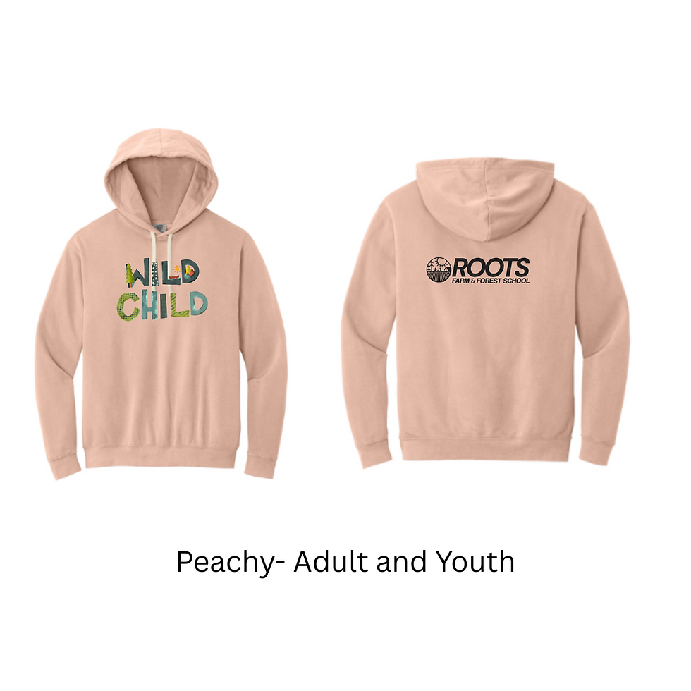 Thumbnail: Youth Peachy Hoodie