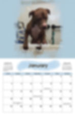 Thumbnail: 2026 Canine Clean Dog of The Month Calendar