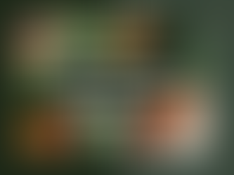 Meatless Meals for Families: Delicious Recipes from Babble Blog