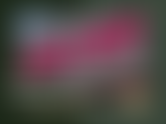 Babble's Must-Have Trader Joe's Picks You Can't Live Without