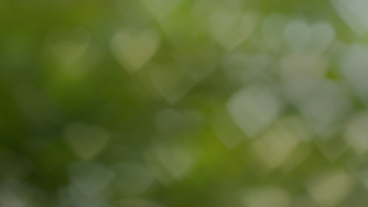 UrEssenz Netzwerk (1).png