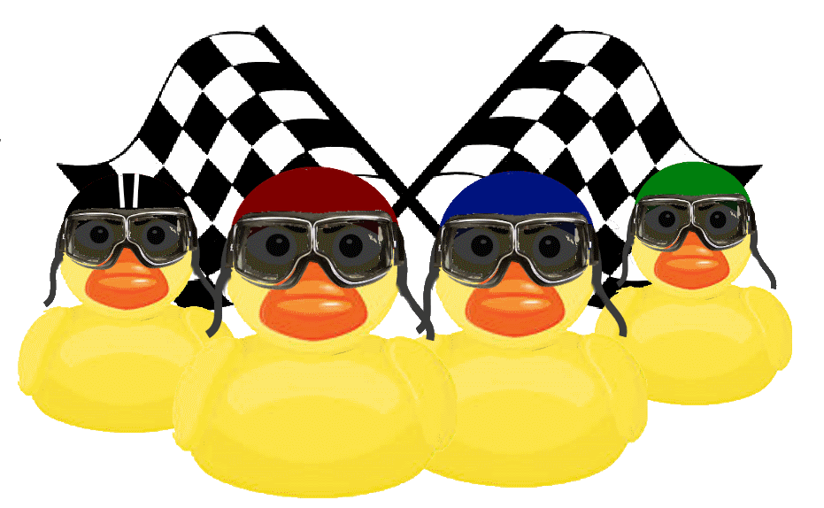 image1.gif