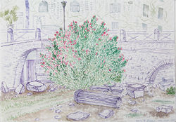 Roma02 21x30cm watercolor  on paper 2012