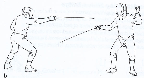 Fencing Image From Steps to Success - Ve
