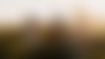 CD34 與日常營養補充:支持身體機能的生活飲食觀念