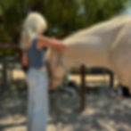 7CCE1A0D-1C68-4D56-B2E8-2D8728FDFAEC